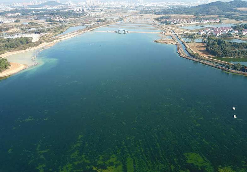 Jiangxi Province Xinyu city Longxu ditch water environment improvement project